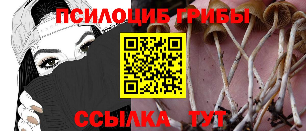 Галлюциногенные грибы MAGIC MUSHROOMS Михайловка